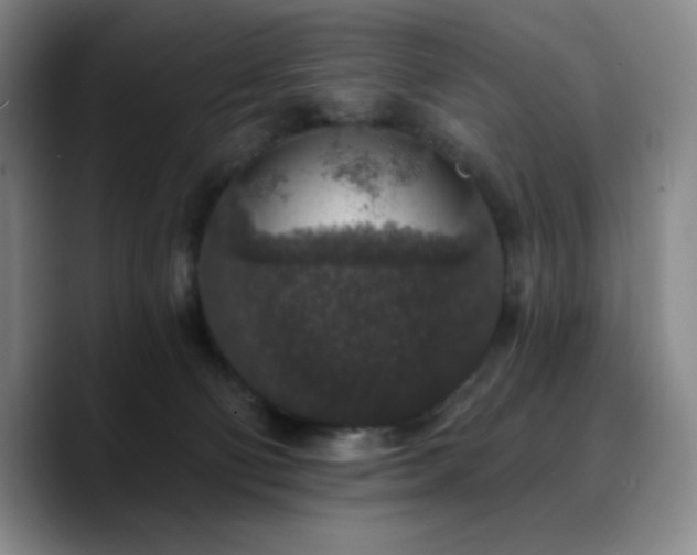 X0000090730130200707201416