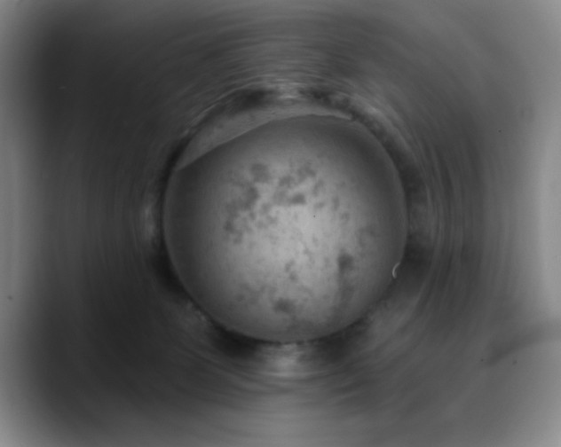 X0000090730131200707201416