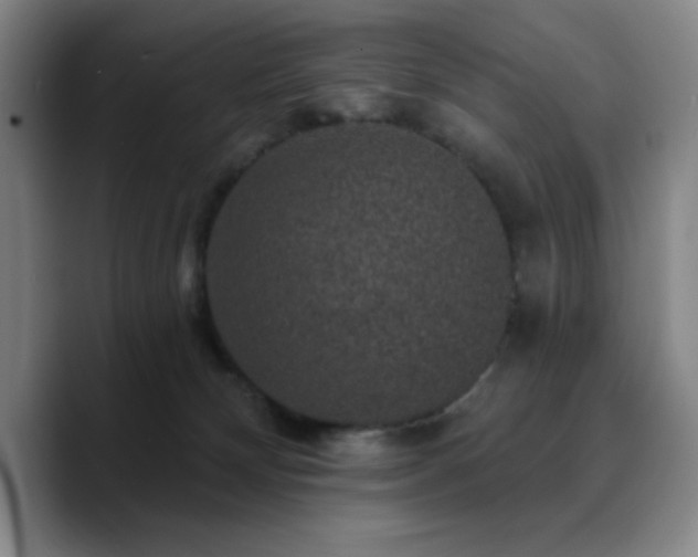 X0000090730132200707201416