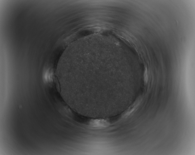 X0000090730137200707201416