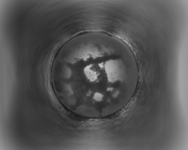 X0000090730145200707201415