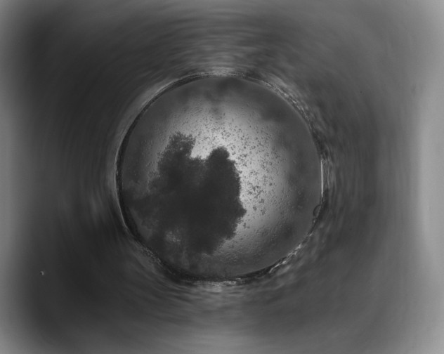 X0000090730147200707201416