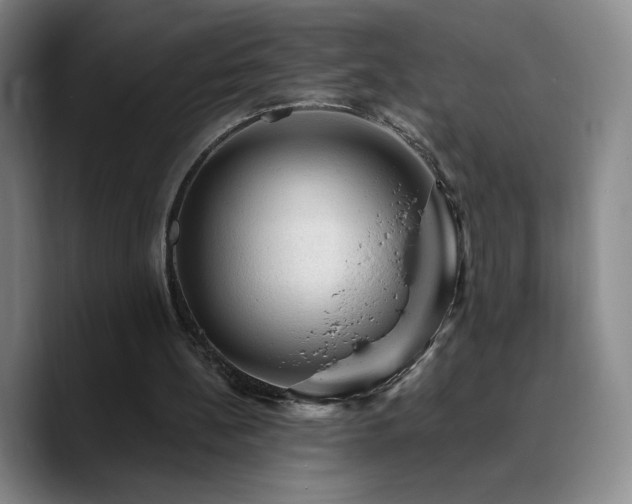 X0000090730148200707201416