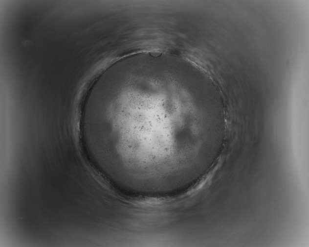 X0000090730149200707201416
