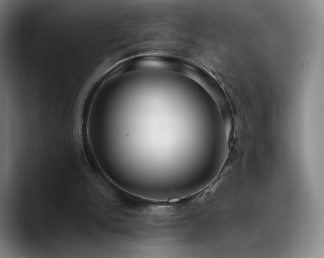 X0000090730150200707201416