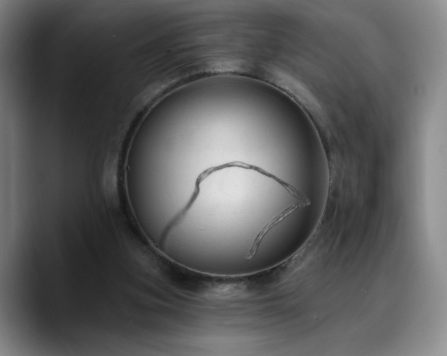 X0000090730155200707201416