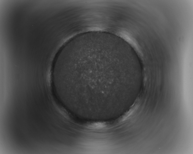 X0000090730156200707201416