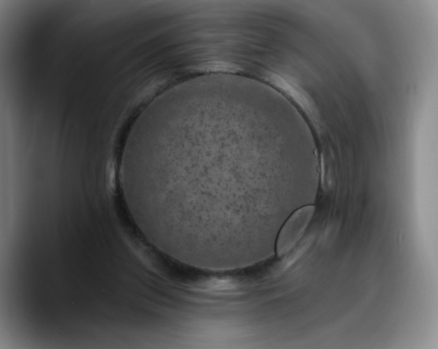 X0000090730157200707201416