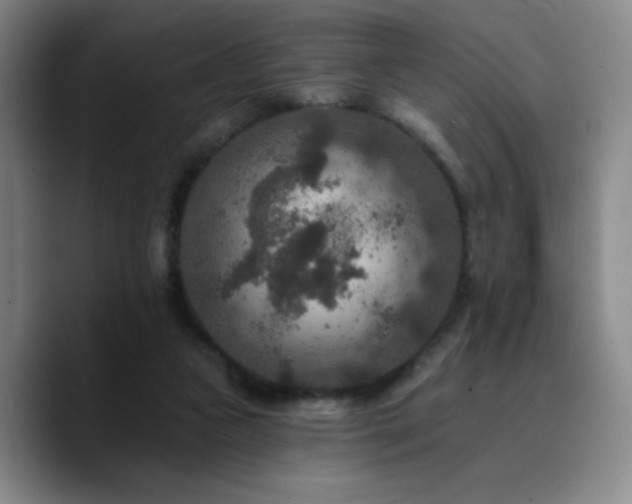 X0000090730161200707201416