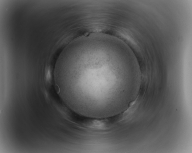 X0000090730166200707201416