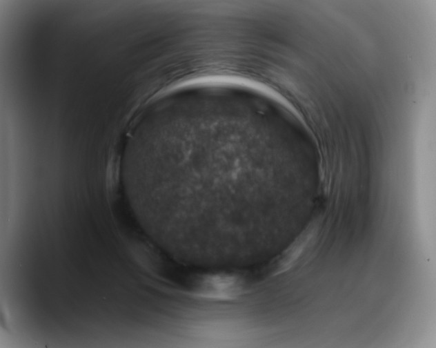 X0000090730168200707201416