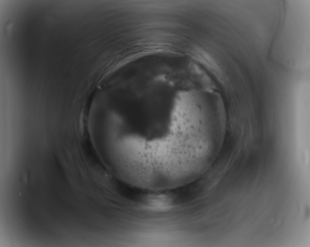 X0000090730169200707201416