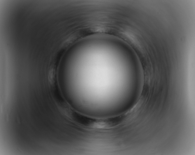 X0000090730171200707201416