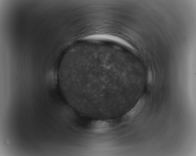 X0000090730180200707201416