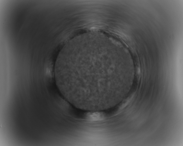 X0000090730181200707201416
