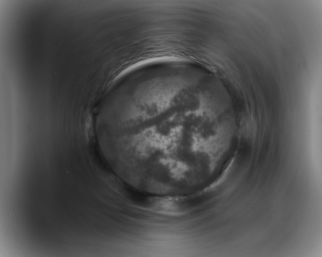 X0000090730182200707201416