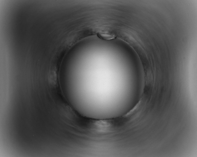 X0000090730183200707201416