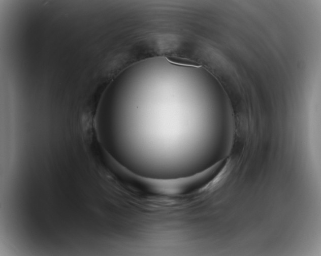 X0000090730184200707201416
