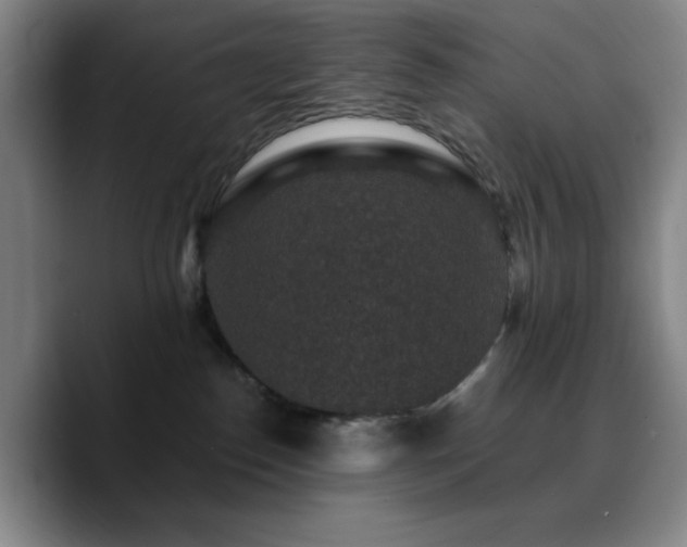 X0000090730186200707201416