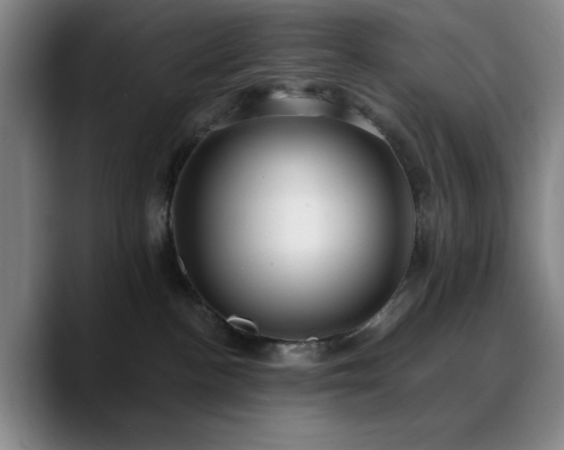 X0000090730188200707201416