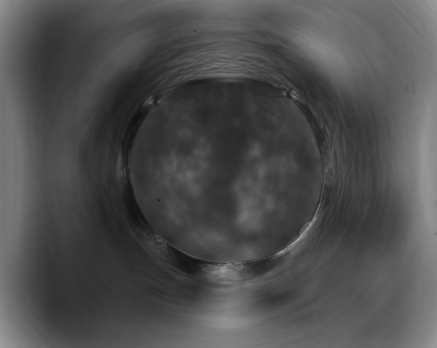 X0000090730191200707201416