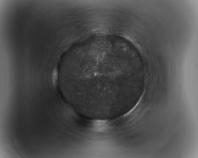 X0000090730192200707201416