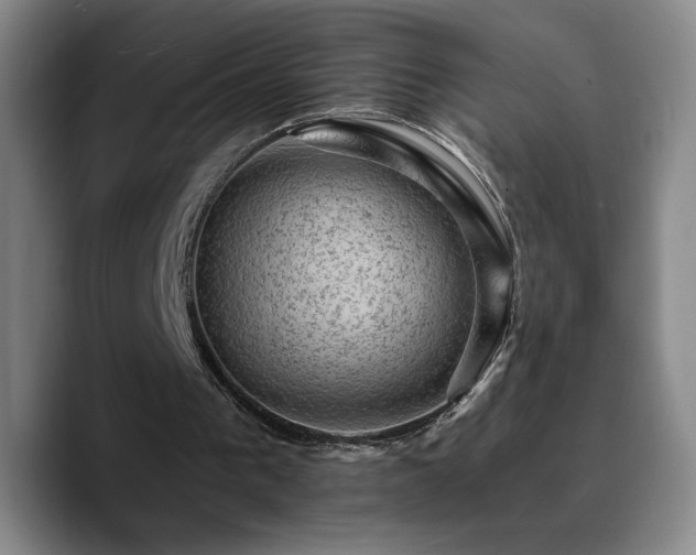 X0000090730193200707201415