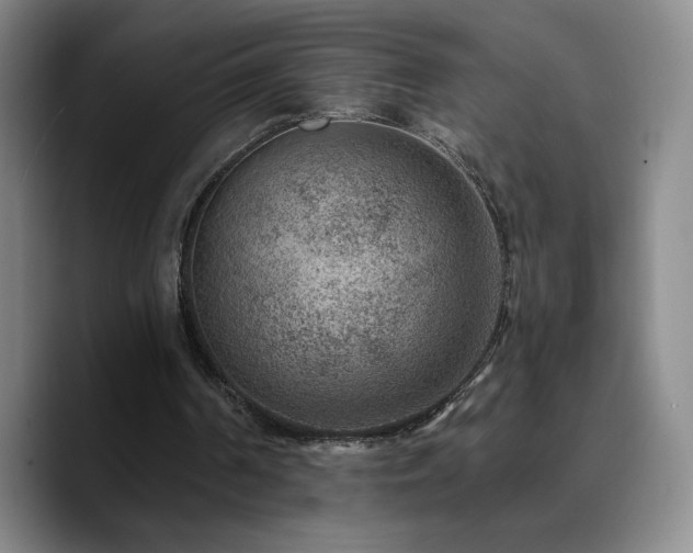 X0000090730194200707201415