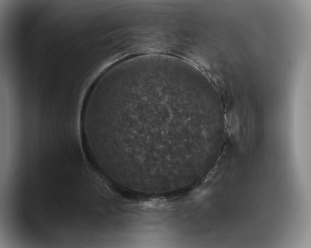 X0000090730196200707201415