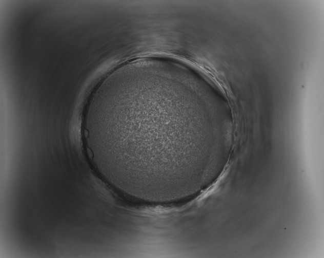 X0000090730197200707201415