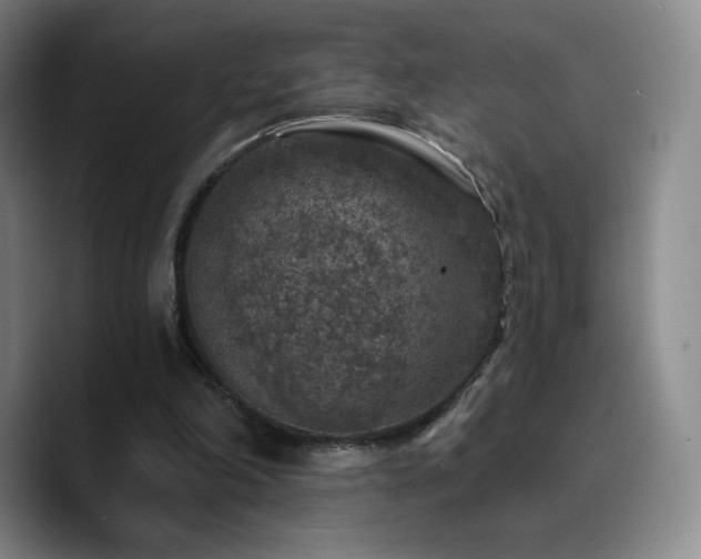 X0000090730198200707201415