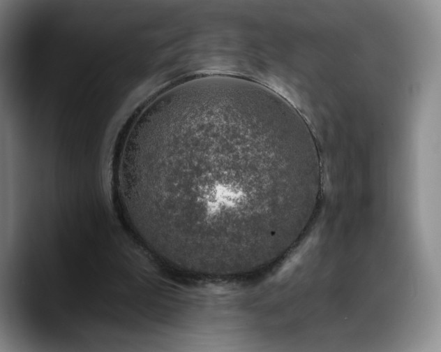 X0000090730199200707201415