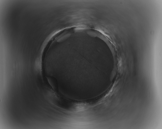 X0000090730200200707201415