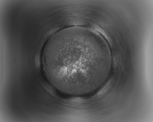 X0000090730203200707201415