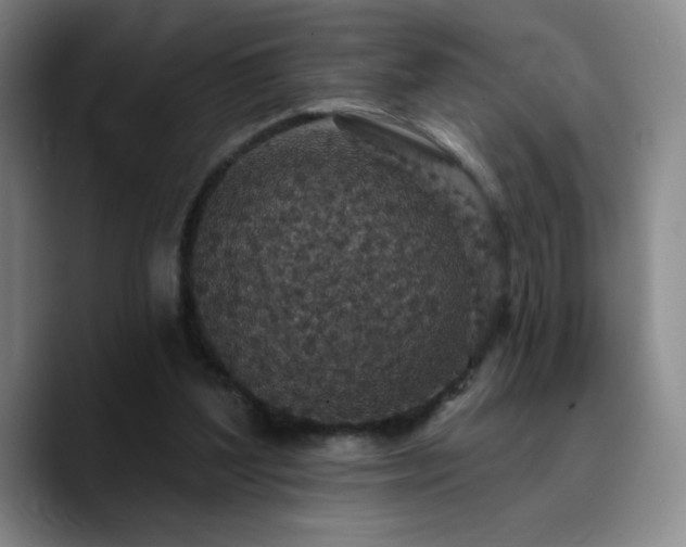 X0000090730204200707201415