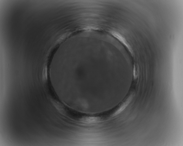 X0000090730205200707201415