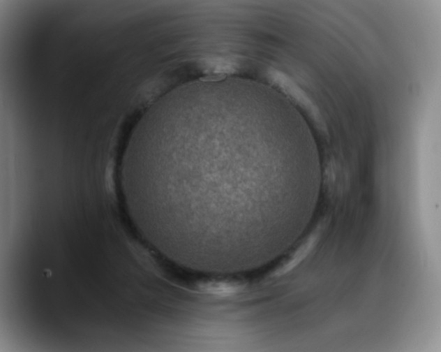X0000090730209200707201415