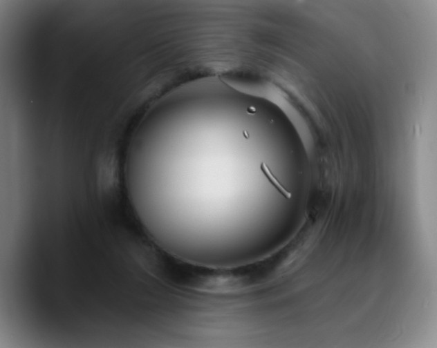 X0000090730212200707201415