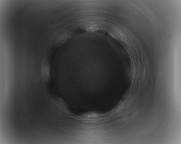 X0000090730219200707201415
