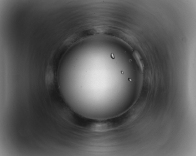 X0000090730220200707201415