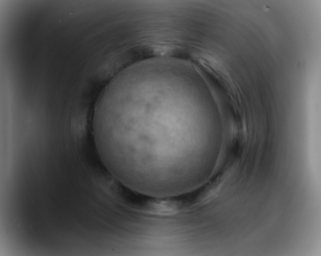 X0000090730221200707201415