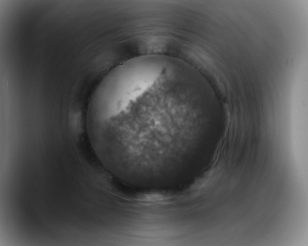 X0000090730224200707201415