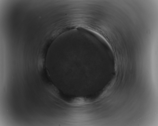 X0000090730227200707201415