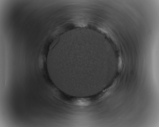 X0000090730229200707201415