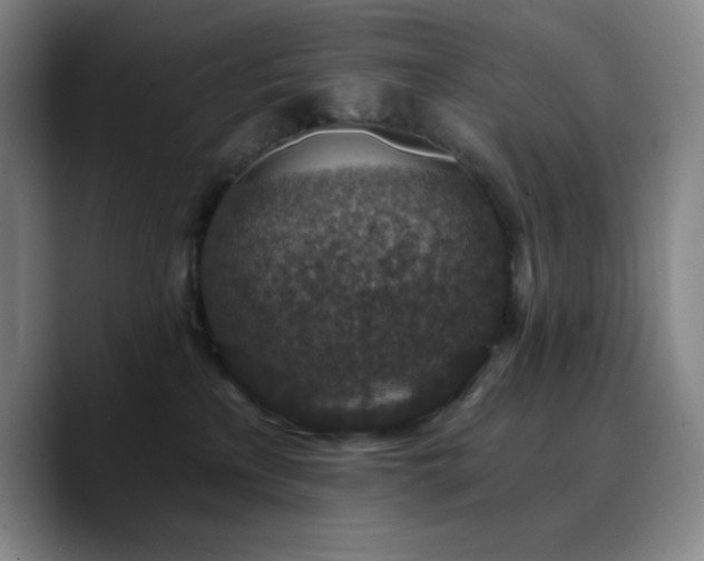 X0000090730233200707201415