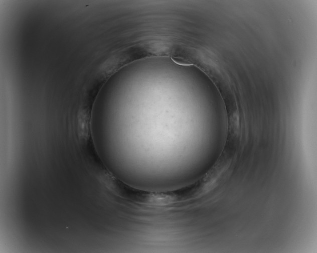 X0000090730234200707201415
