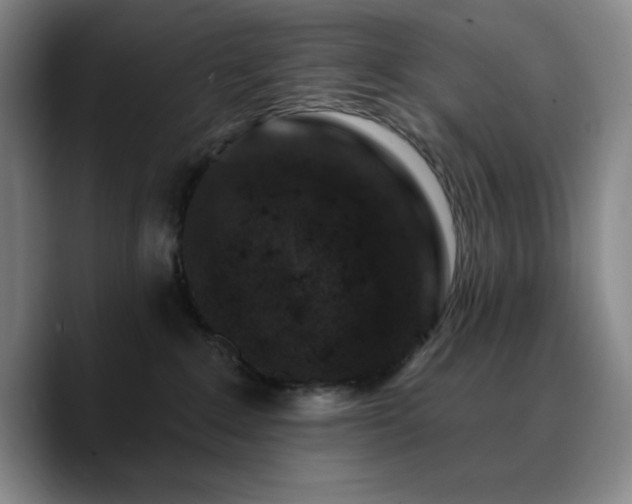 X0000090730235200707201415