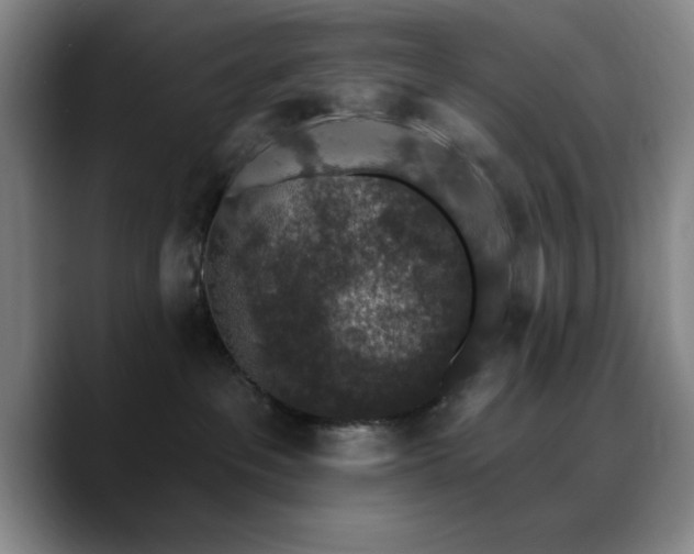 X0000090730237200707201415