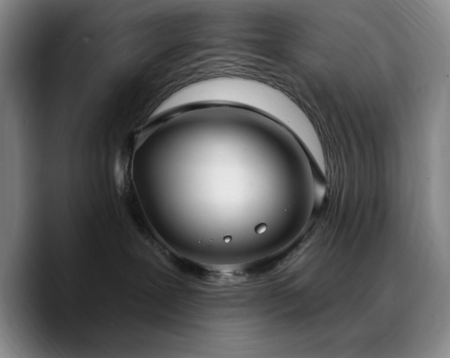 X0000090730239200707201415