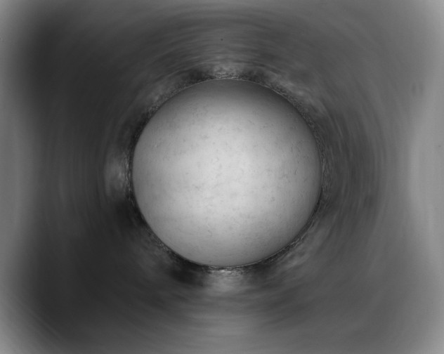 X0000090730240200707201415